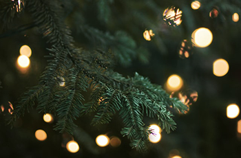 NCFO ønsker alle en glædelig jul og godt nytår